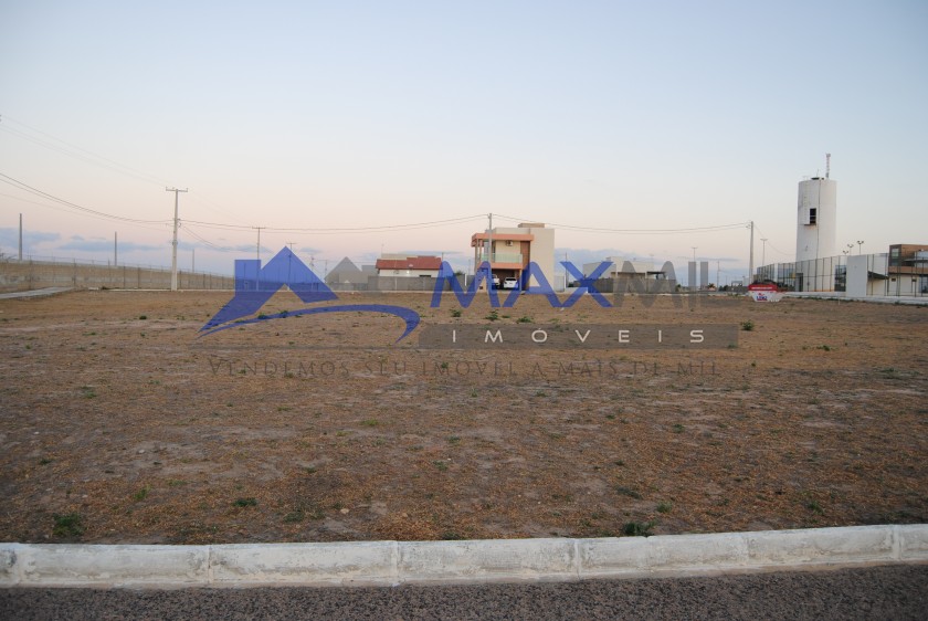 galeria image