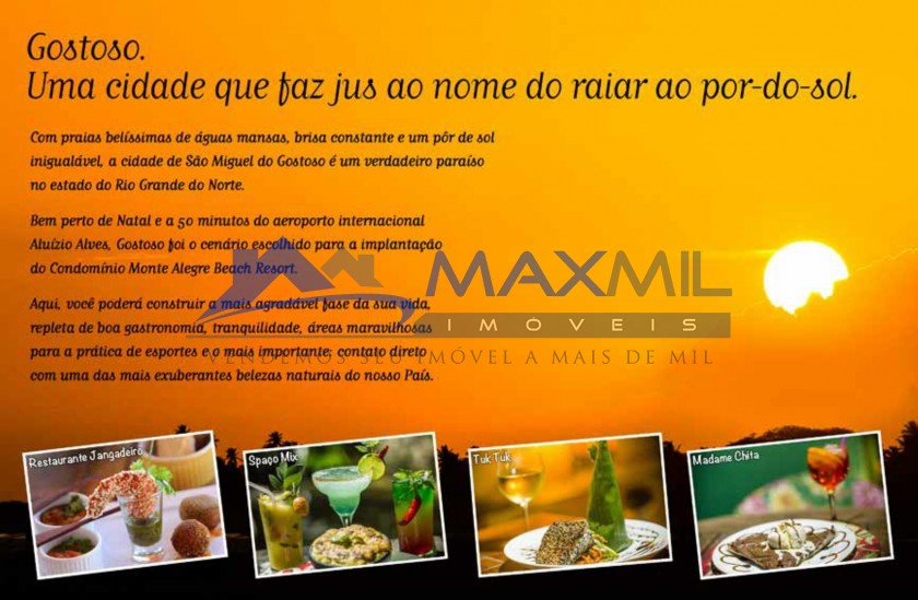 galeria image