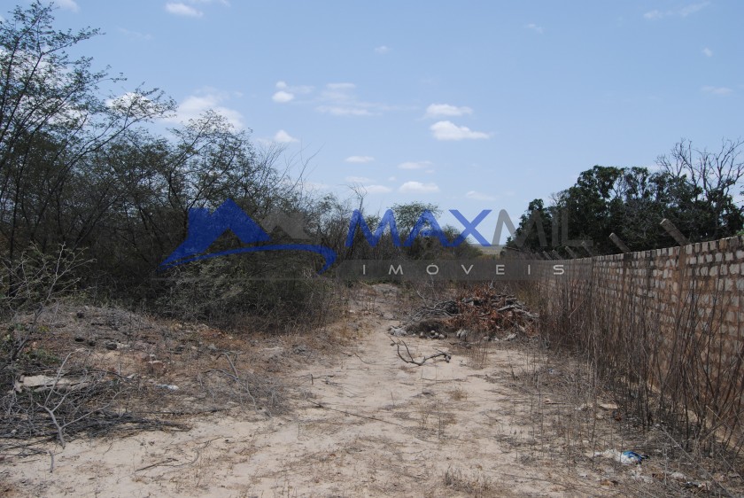galeria image