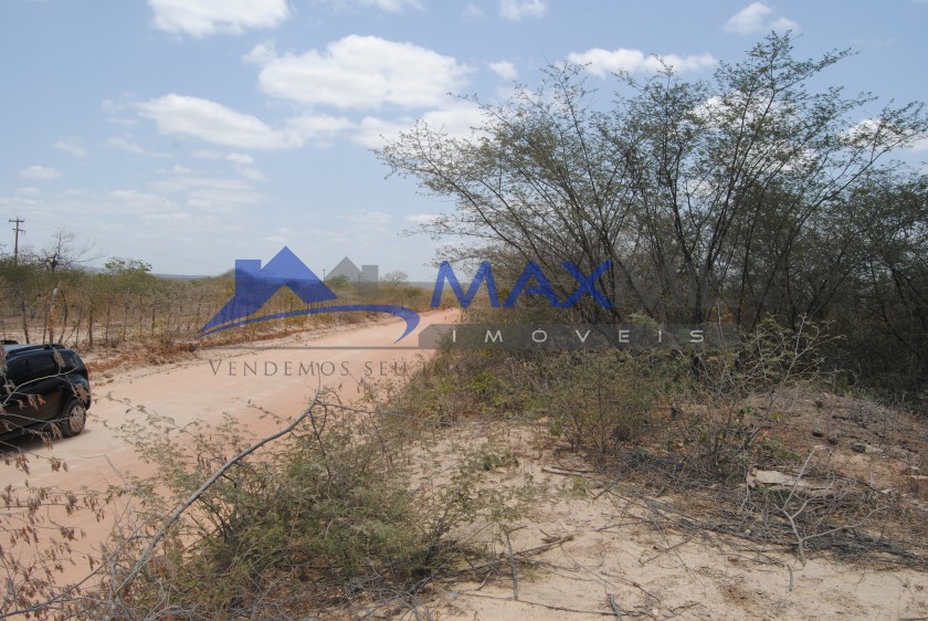 galeria image