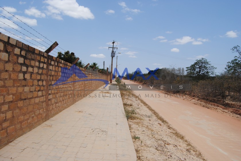 galeria image