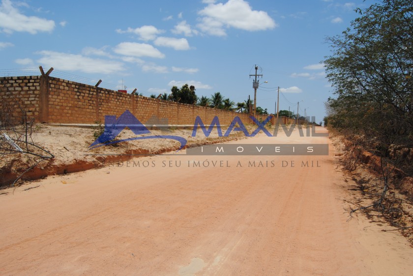 galeria image