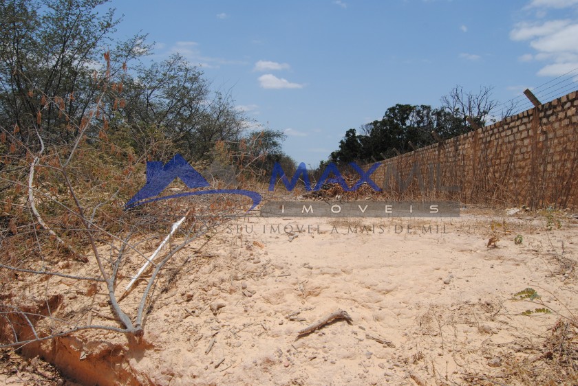galeria image