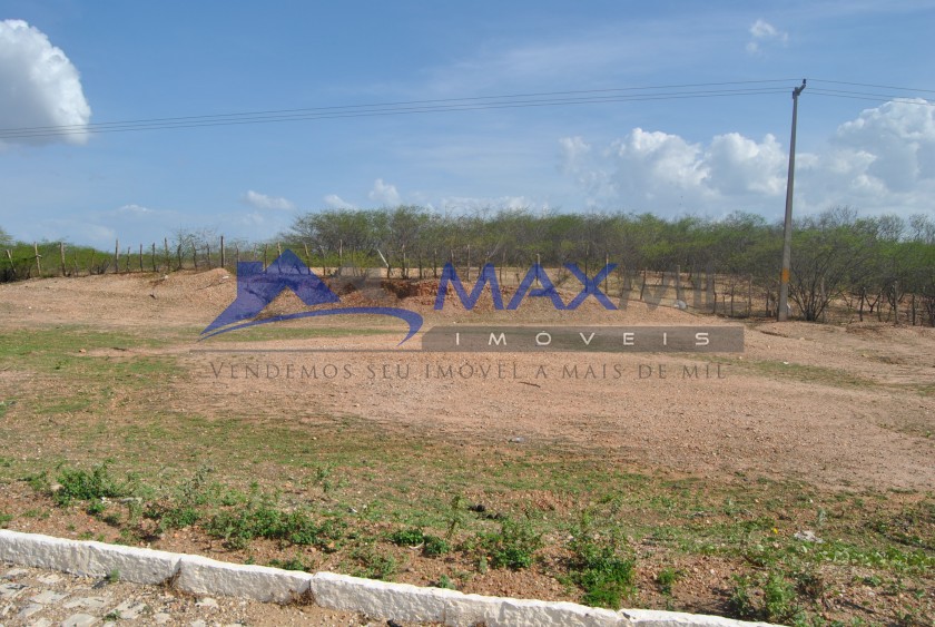 galeria image