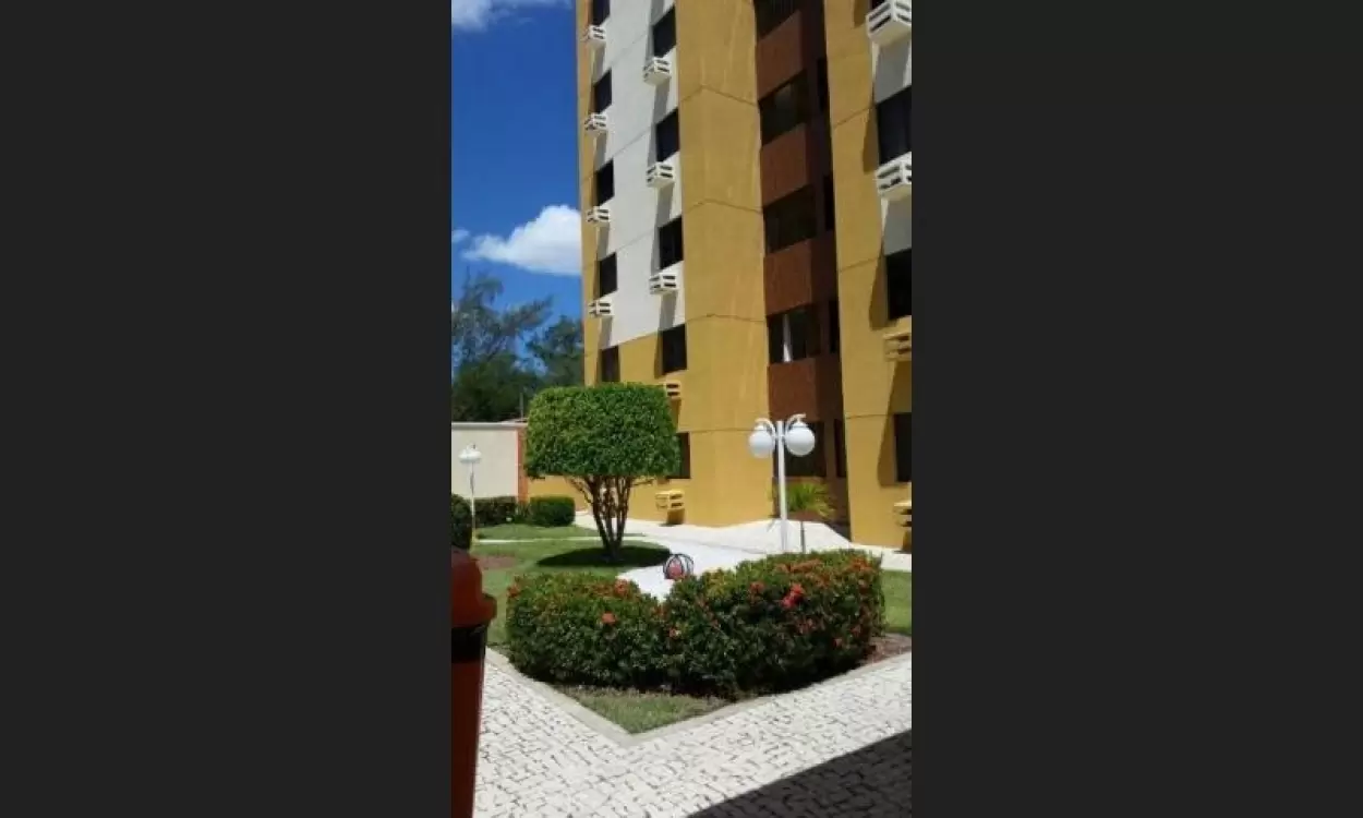 galeria image