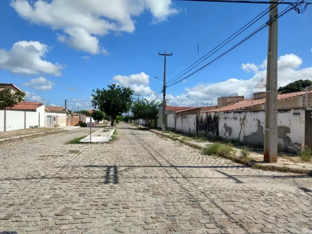 galeria image