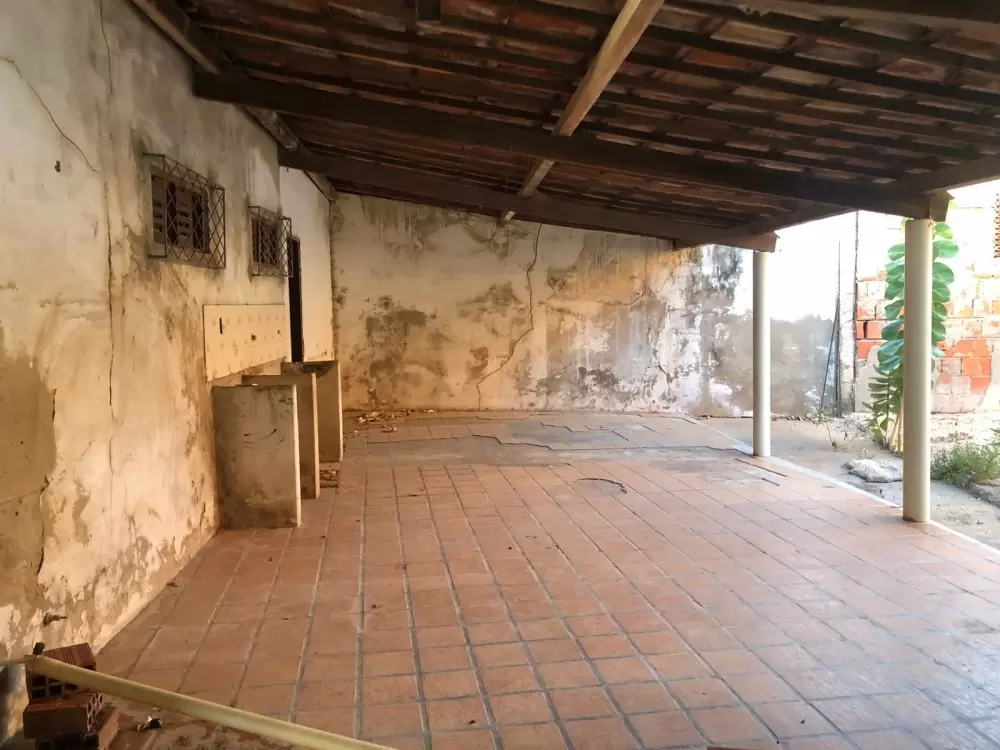 galeria image