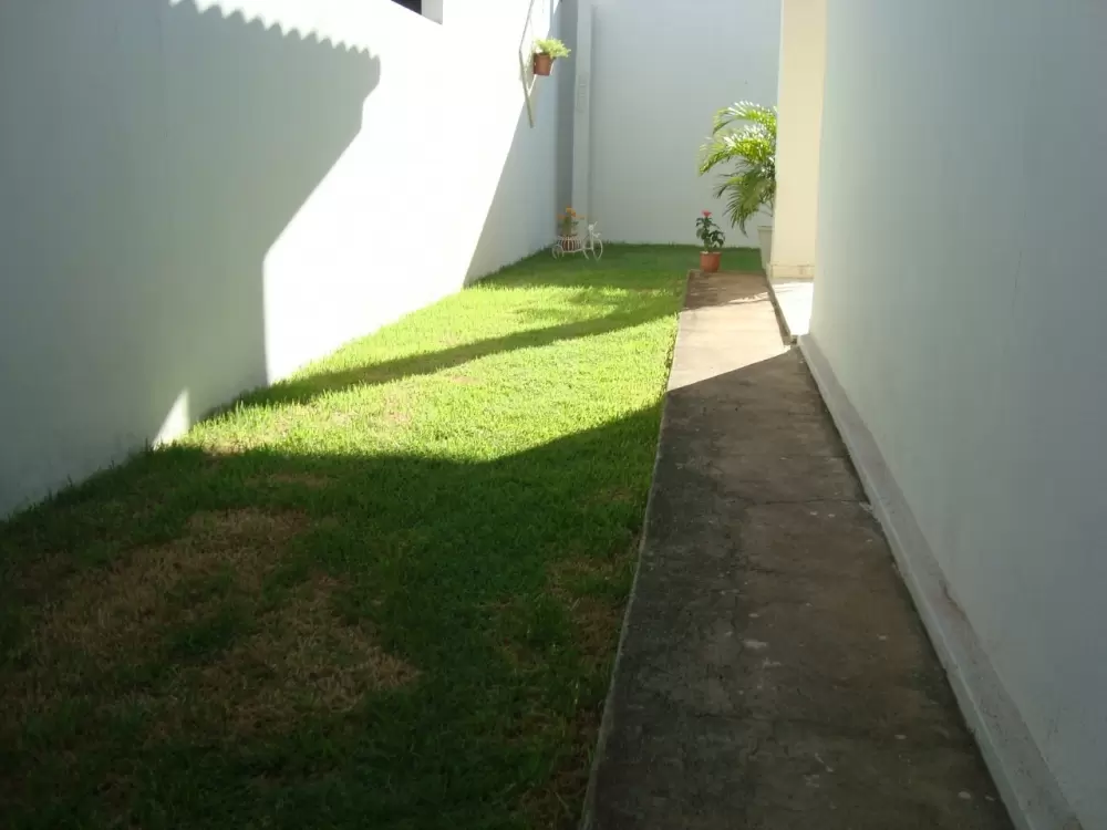 galeria image