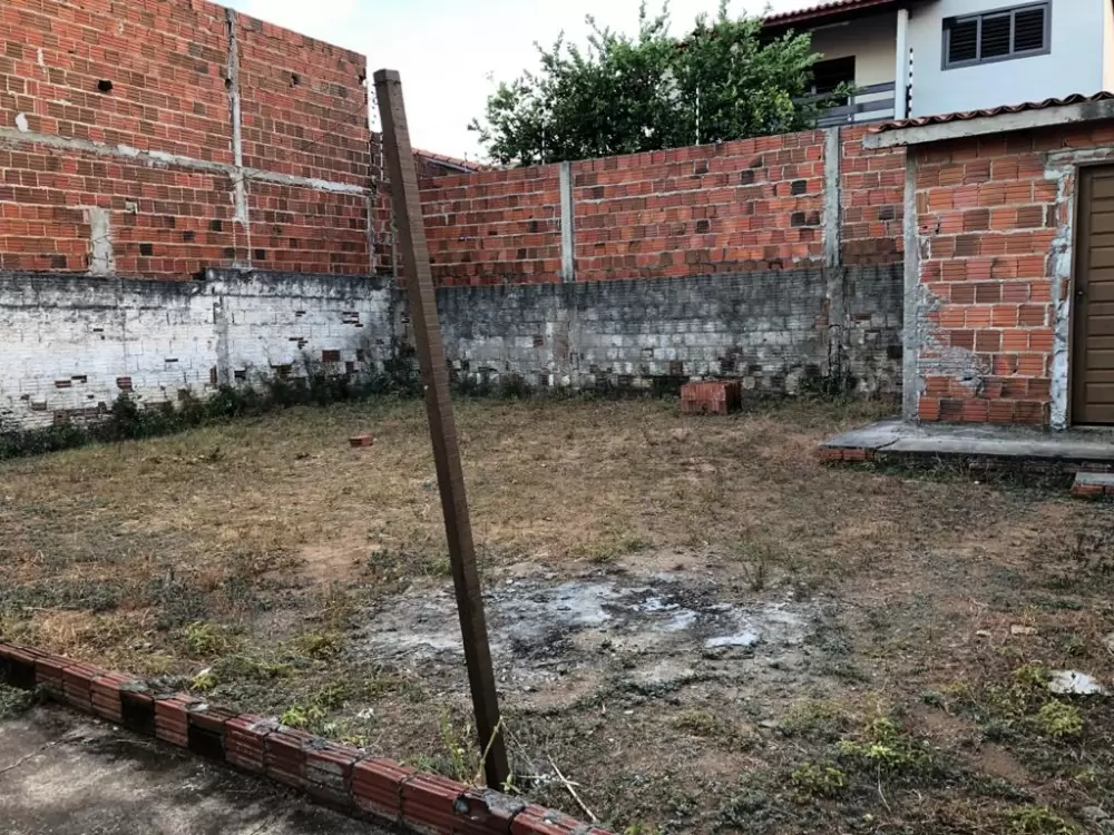 galeria image