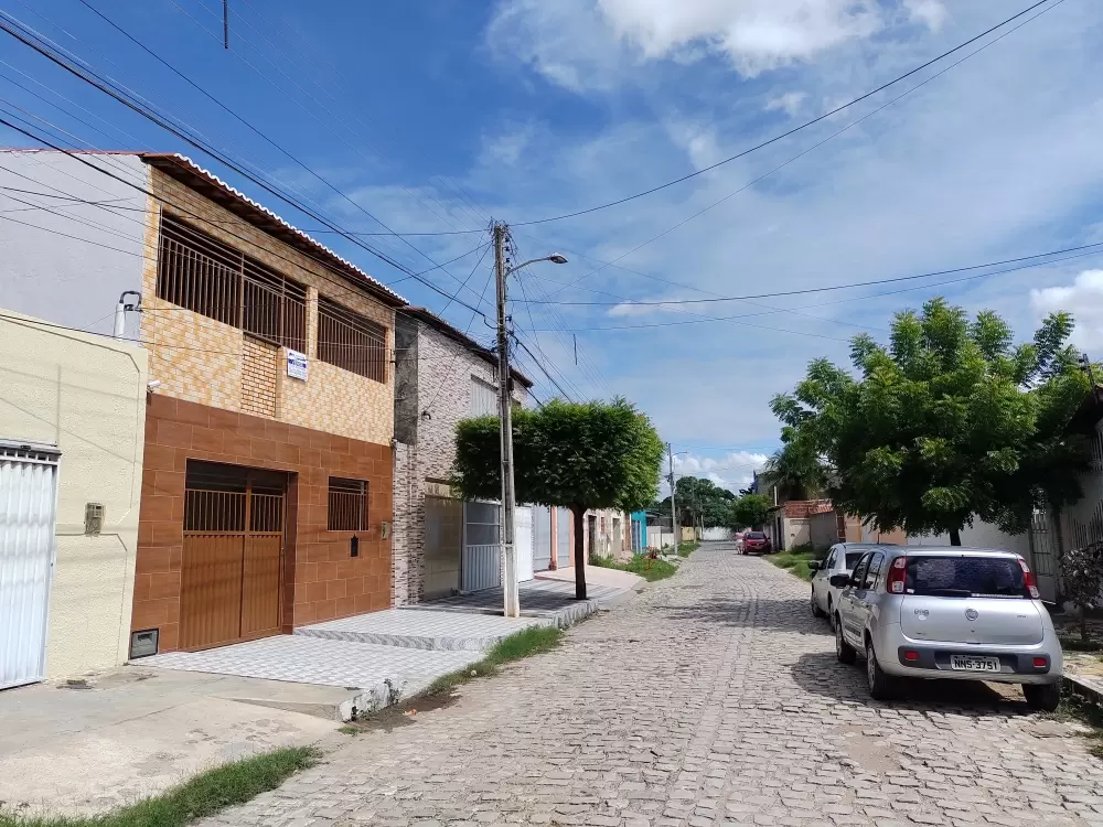 galeria image