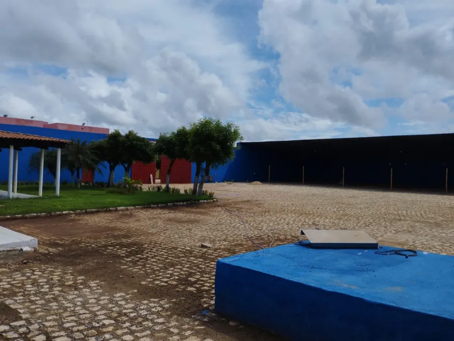 galeria image