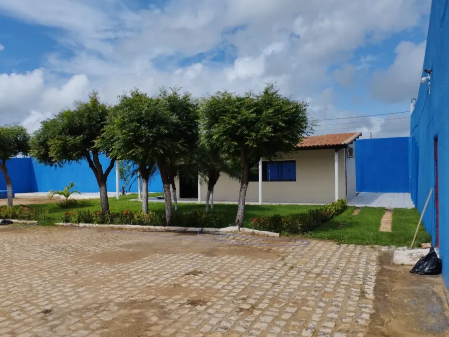 galeria image