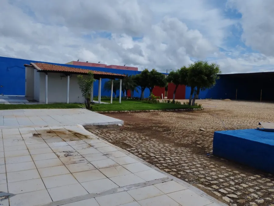 galeria image