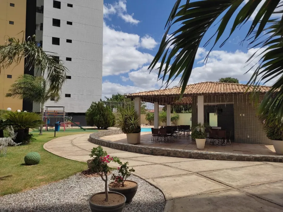 galeria image