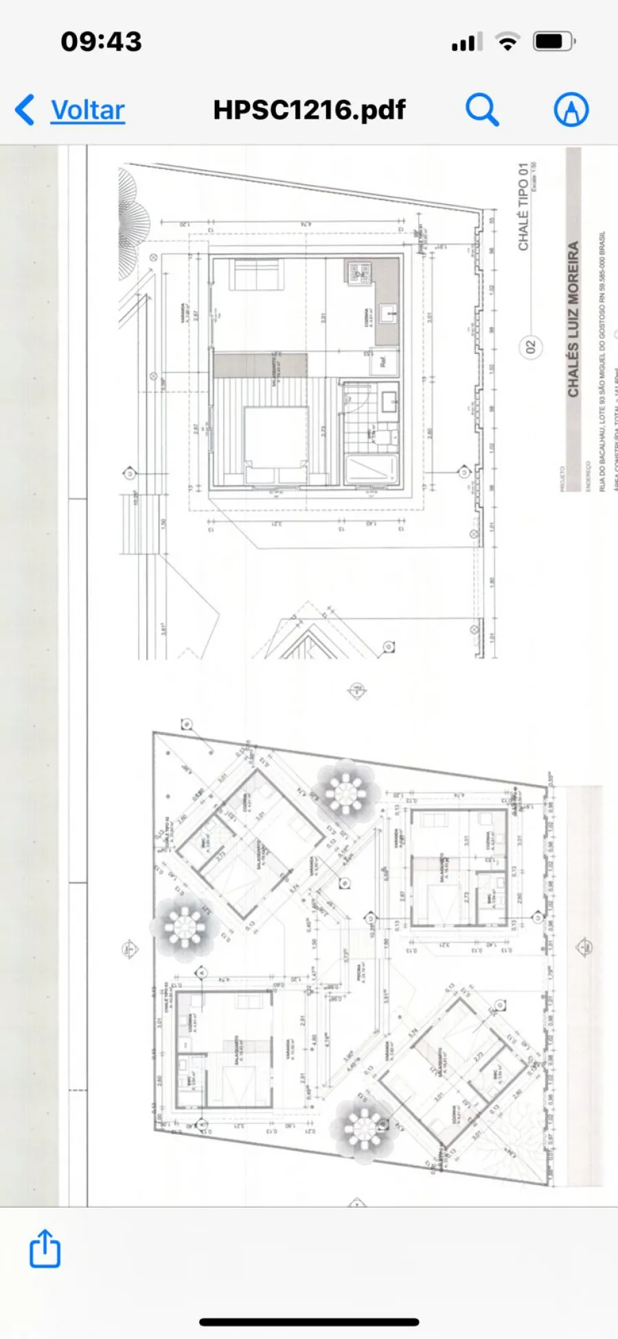 planta
