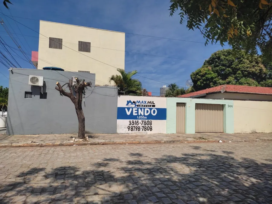 galeria image