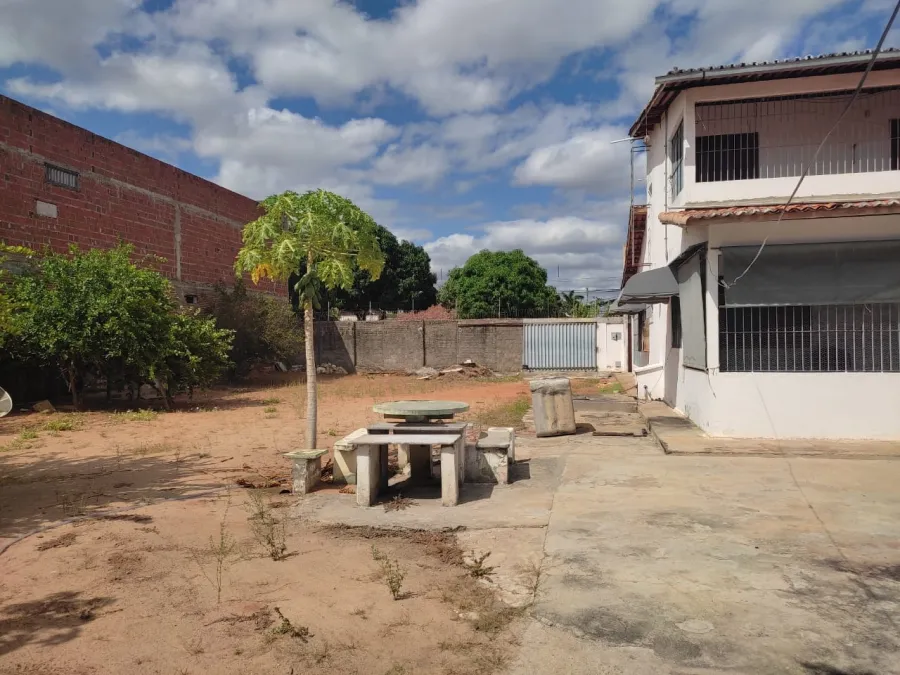 galeria image