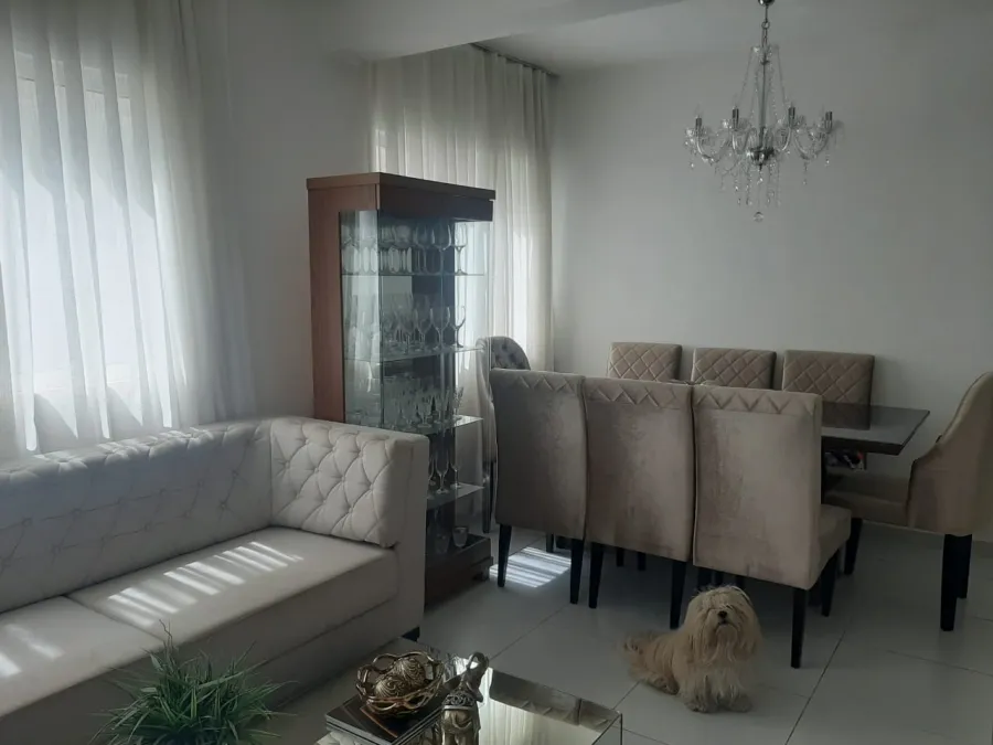 galeria image