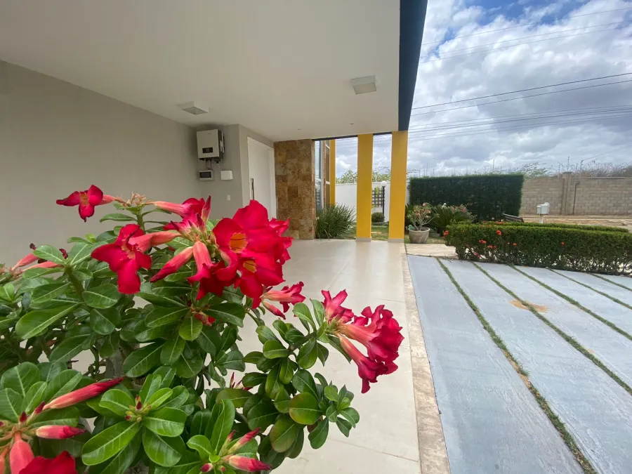 galeria image
