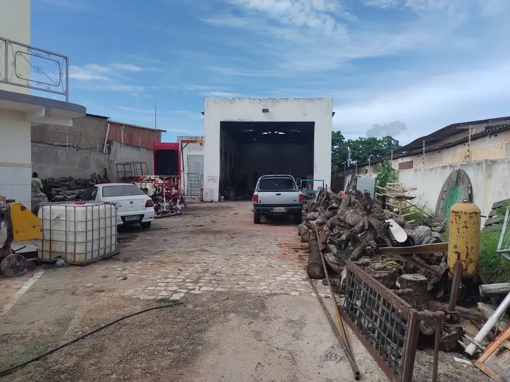 galeria image