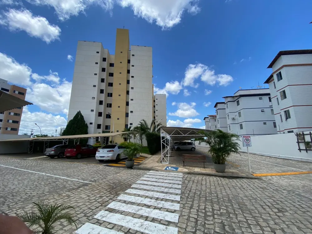 galeria image