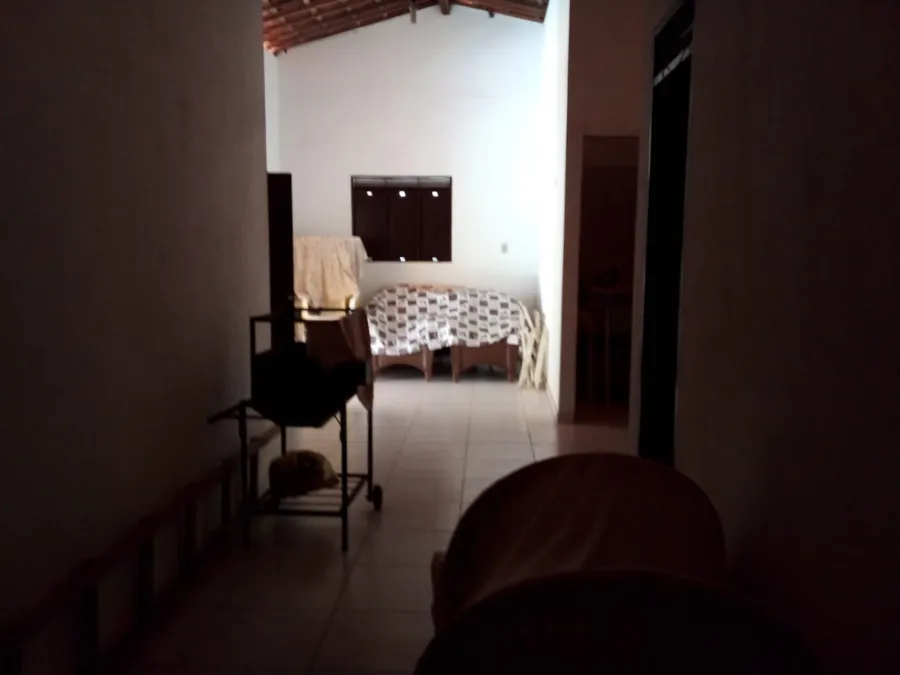 galeria image