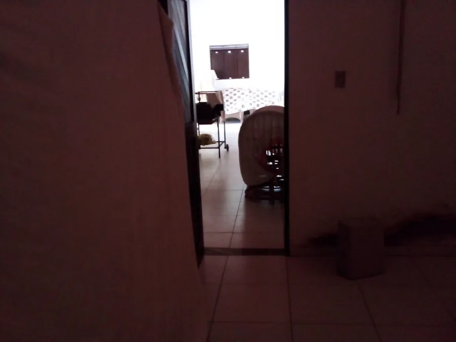 galeria image