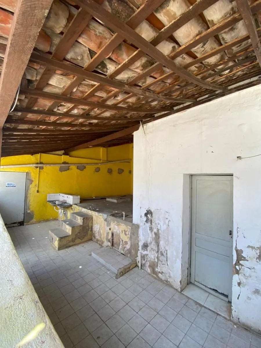 galeria image
