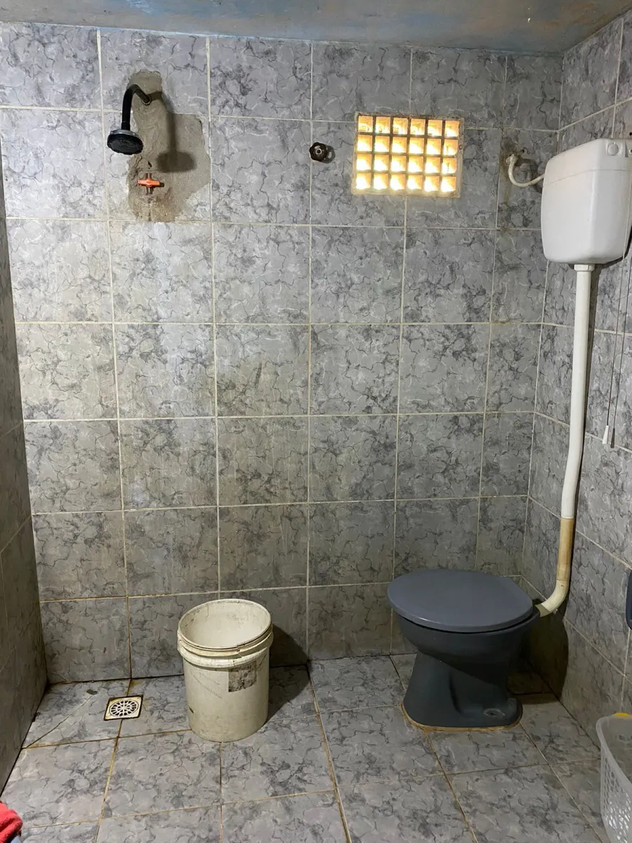 galeria image