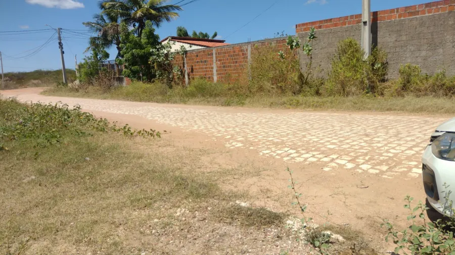 galeria image