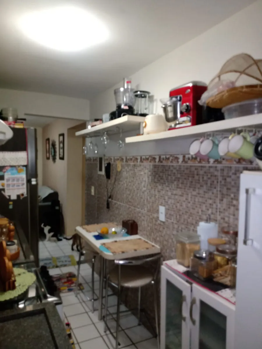 galeria image