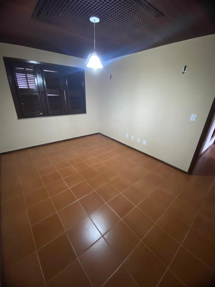 galeria image