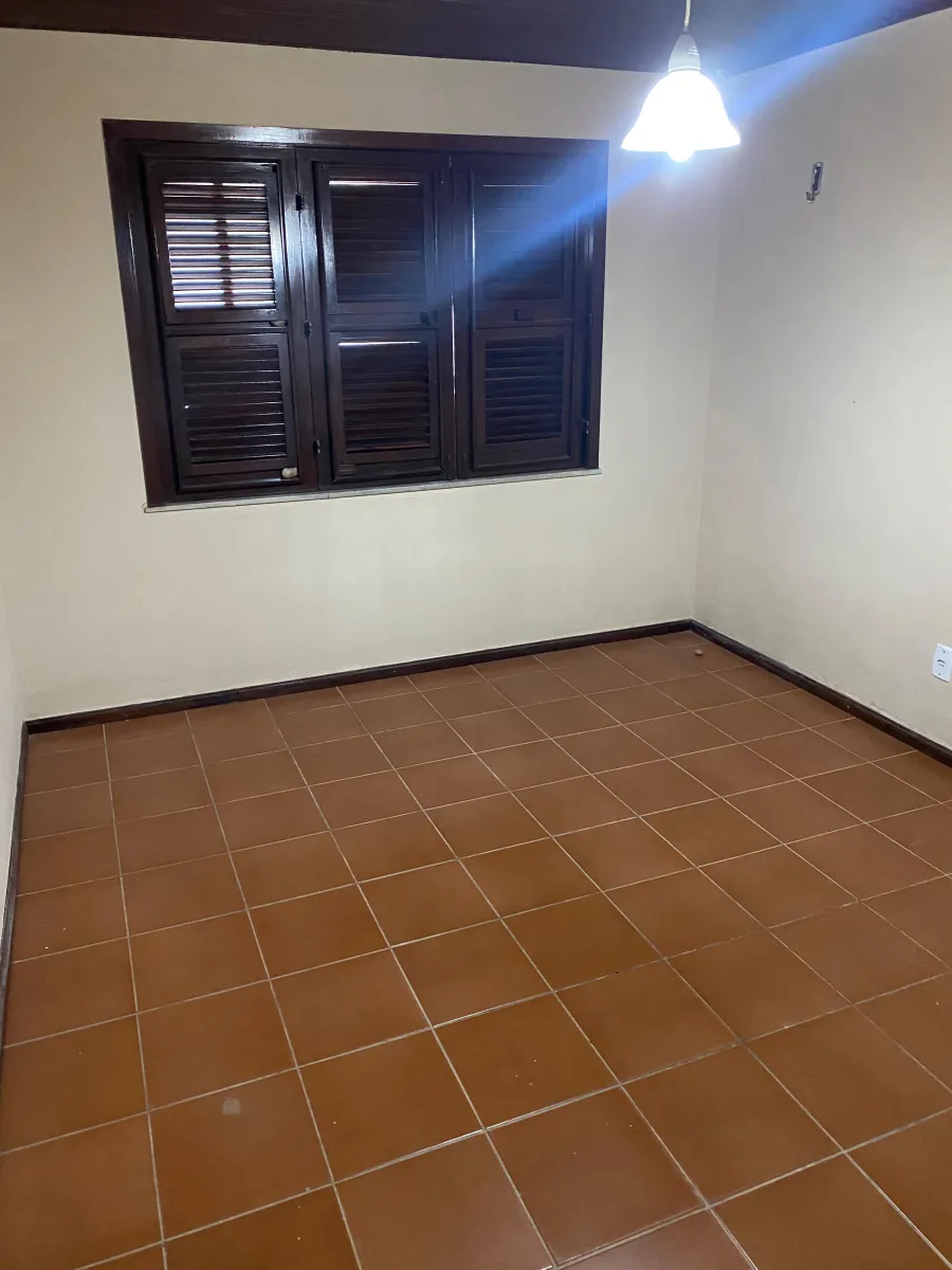 galeria image