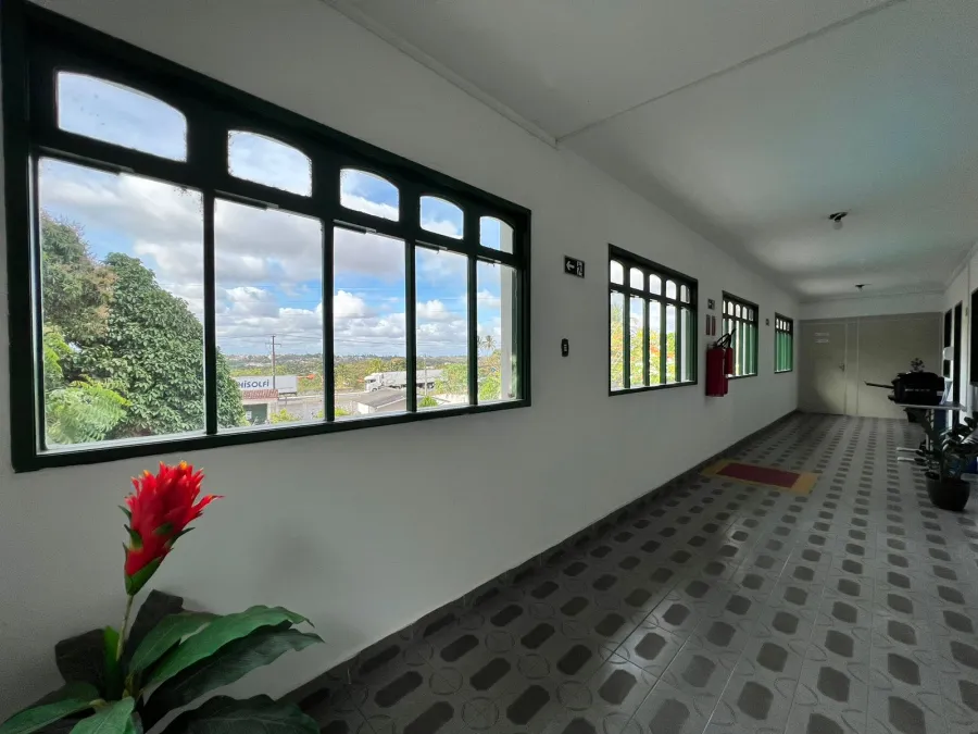 galeria image