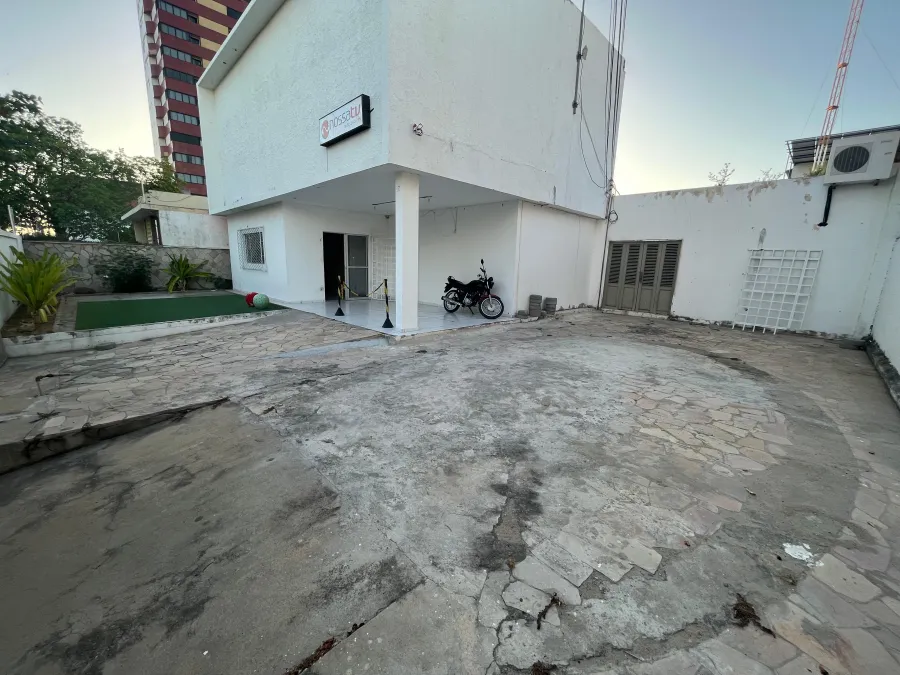 galeria image