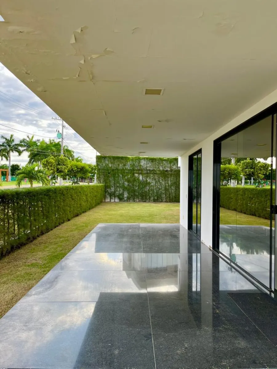 galeria image