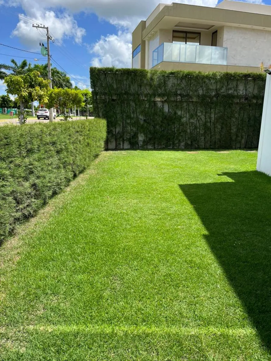 galeria image
