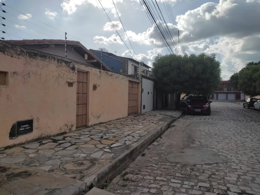 galeria image