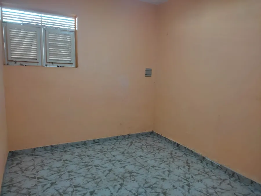 galeria image