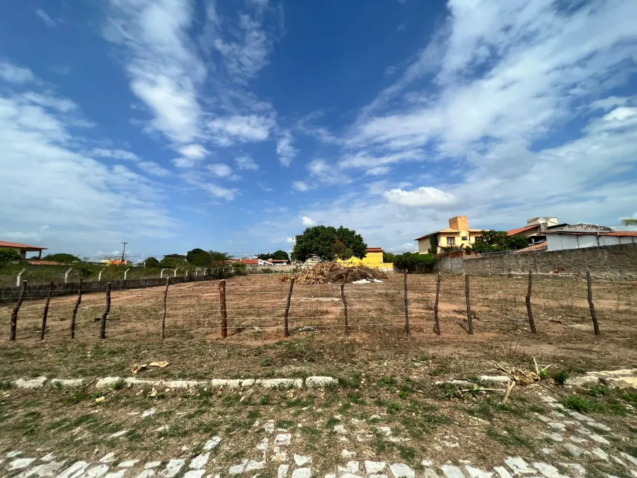 galeria image