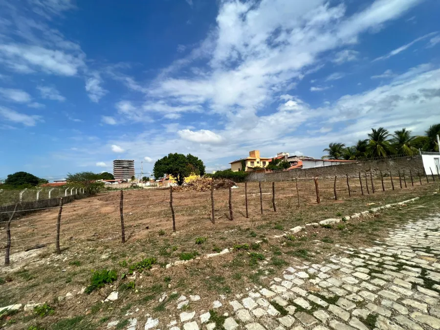 galeria image