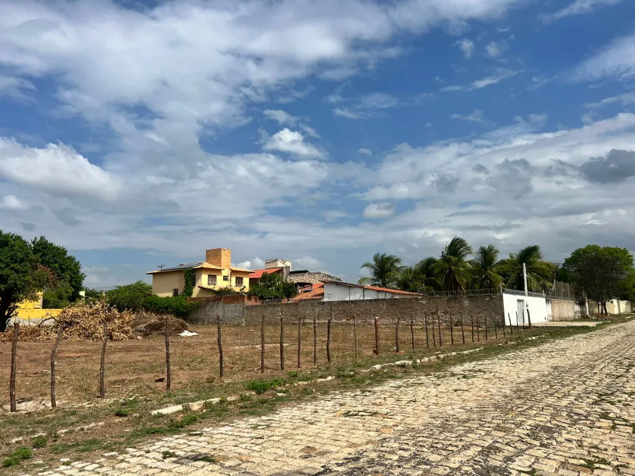 galeria image