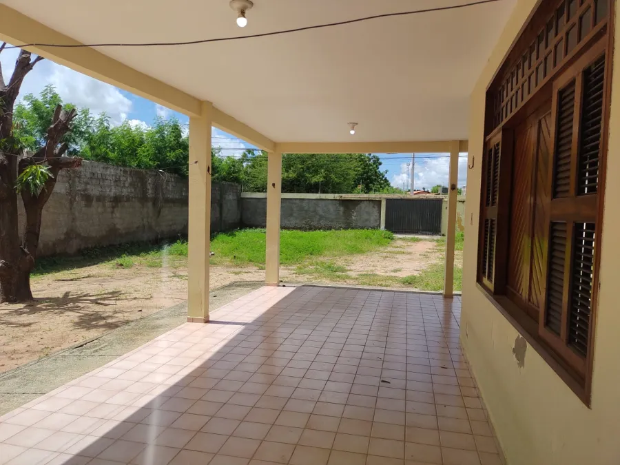 galeria image