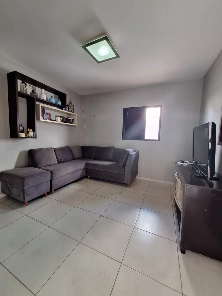 galeria image