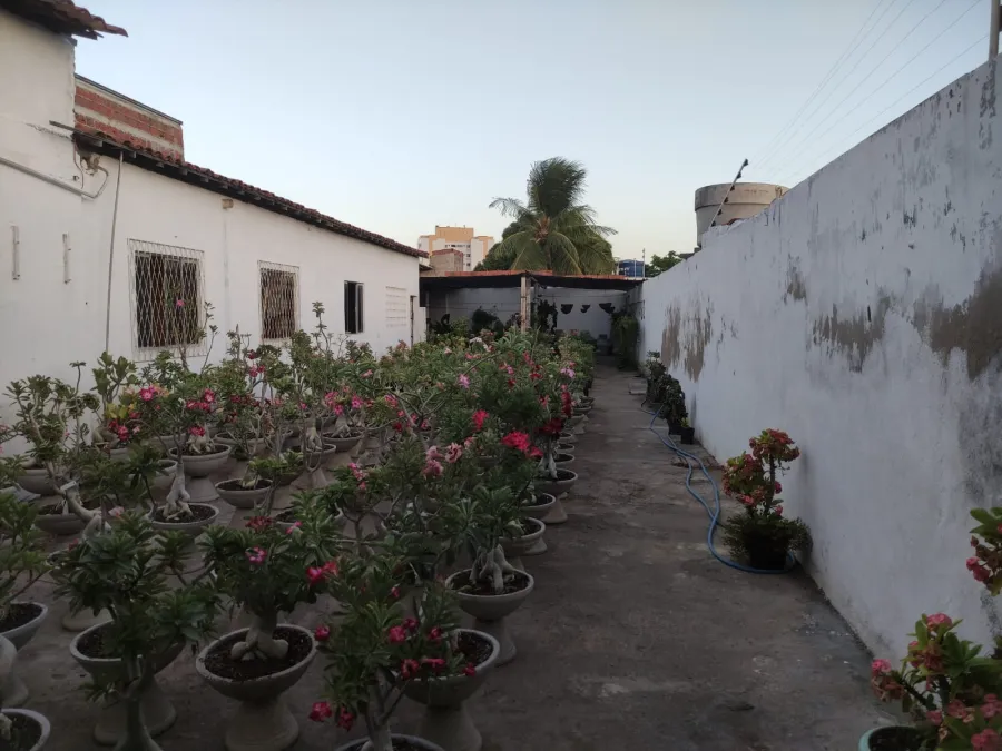 galeria image