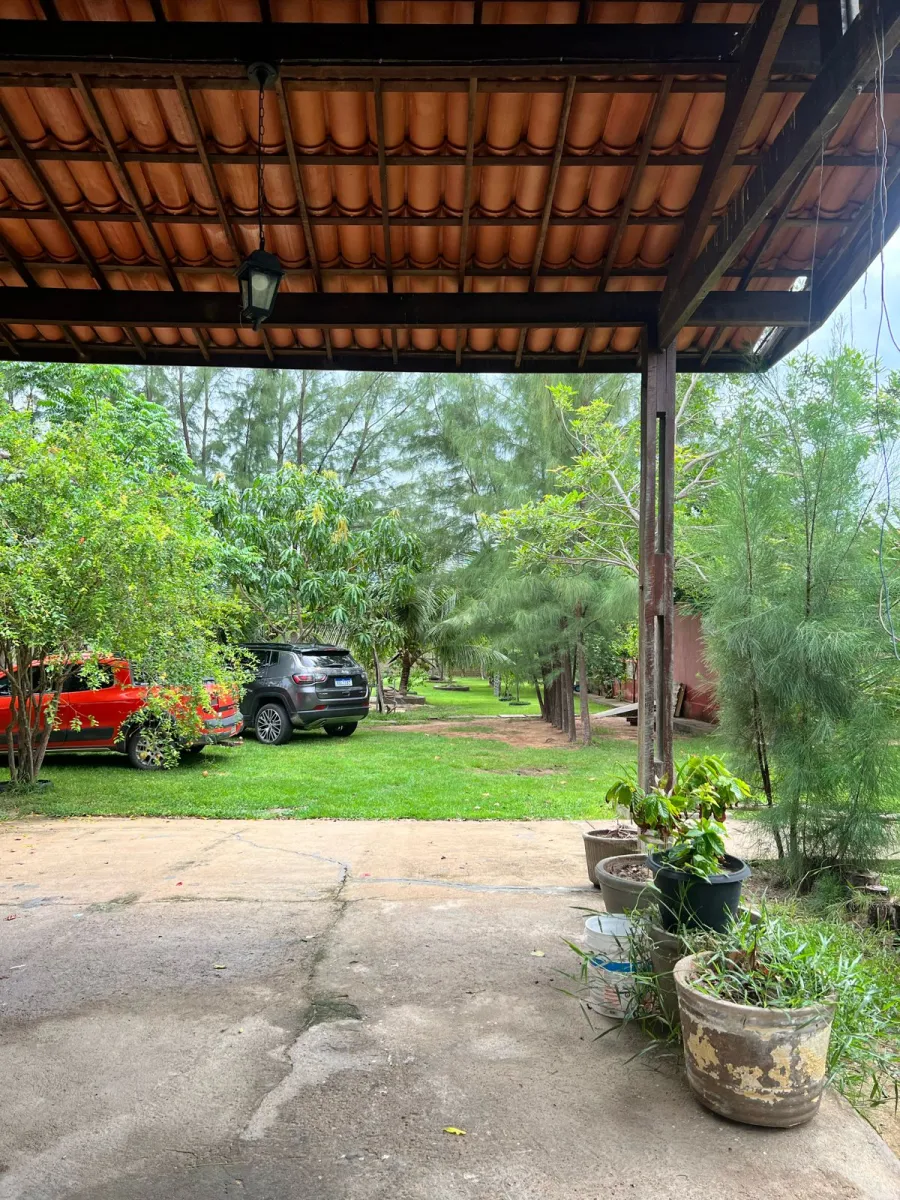 galeria image