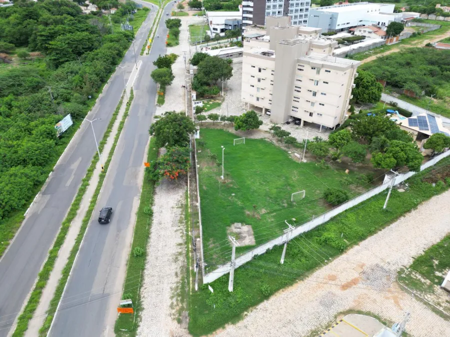 galeria image
