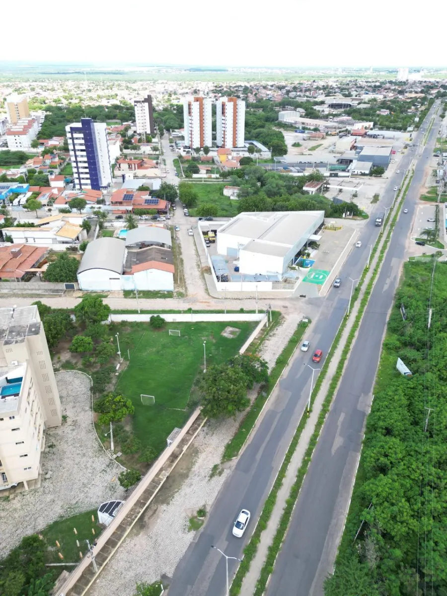 galeria image