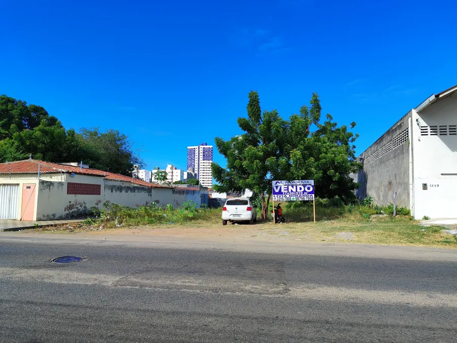 galeria image