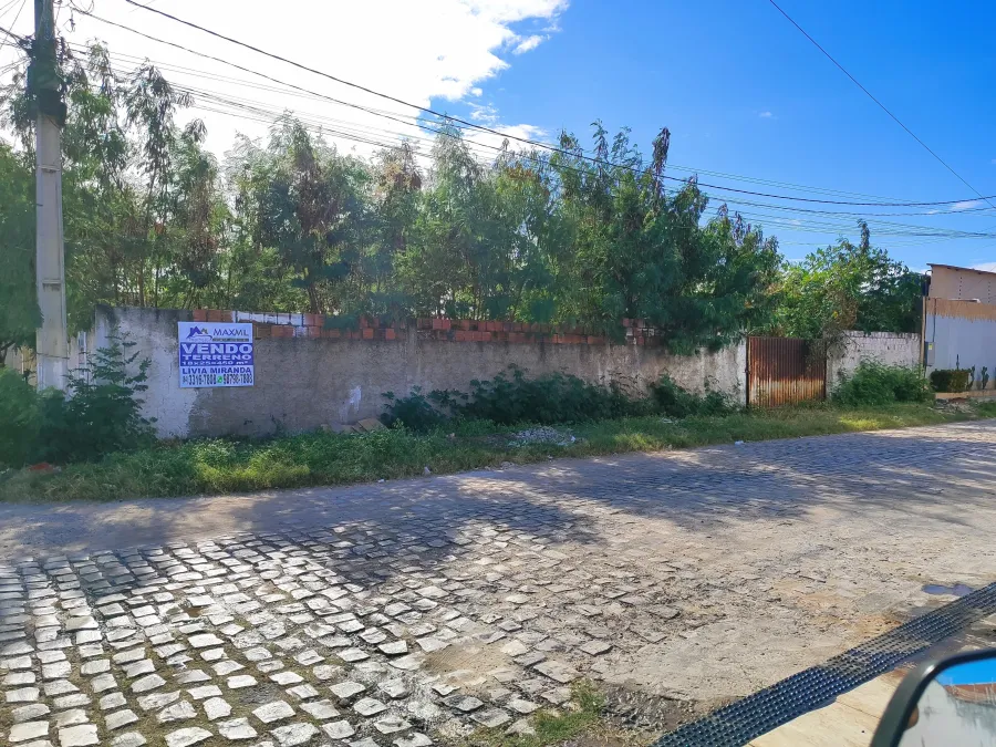 galeria image